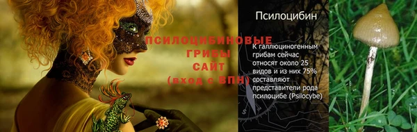 Альфа ПВП Лихославль
