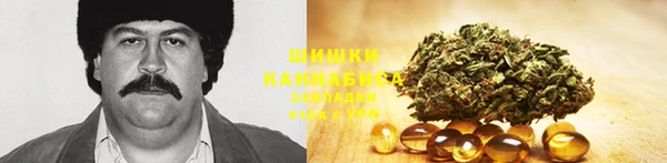 МДПВ Лиски